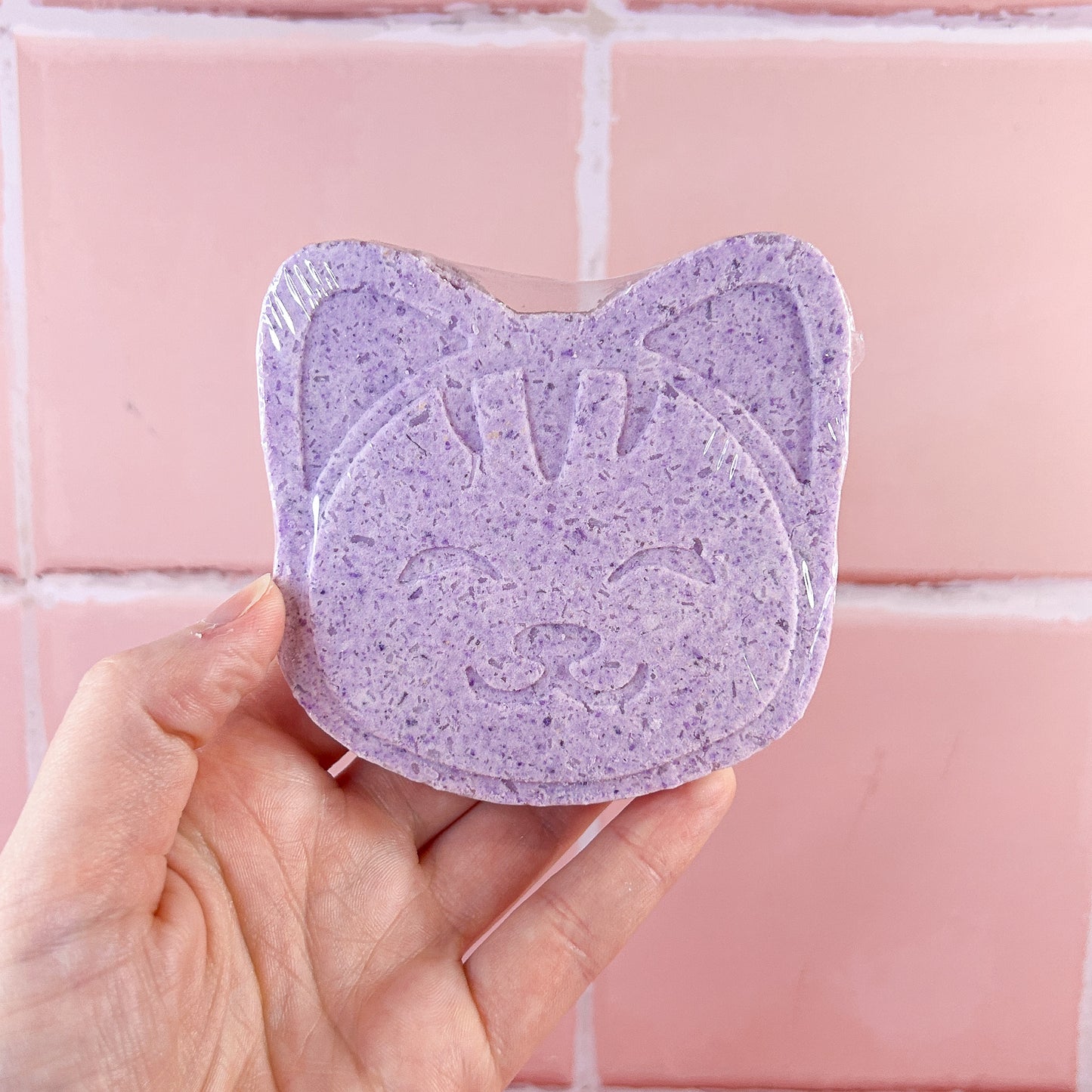 Feline (Cat) Bath Bomb