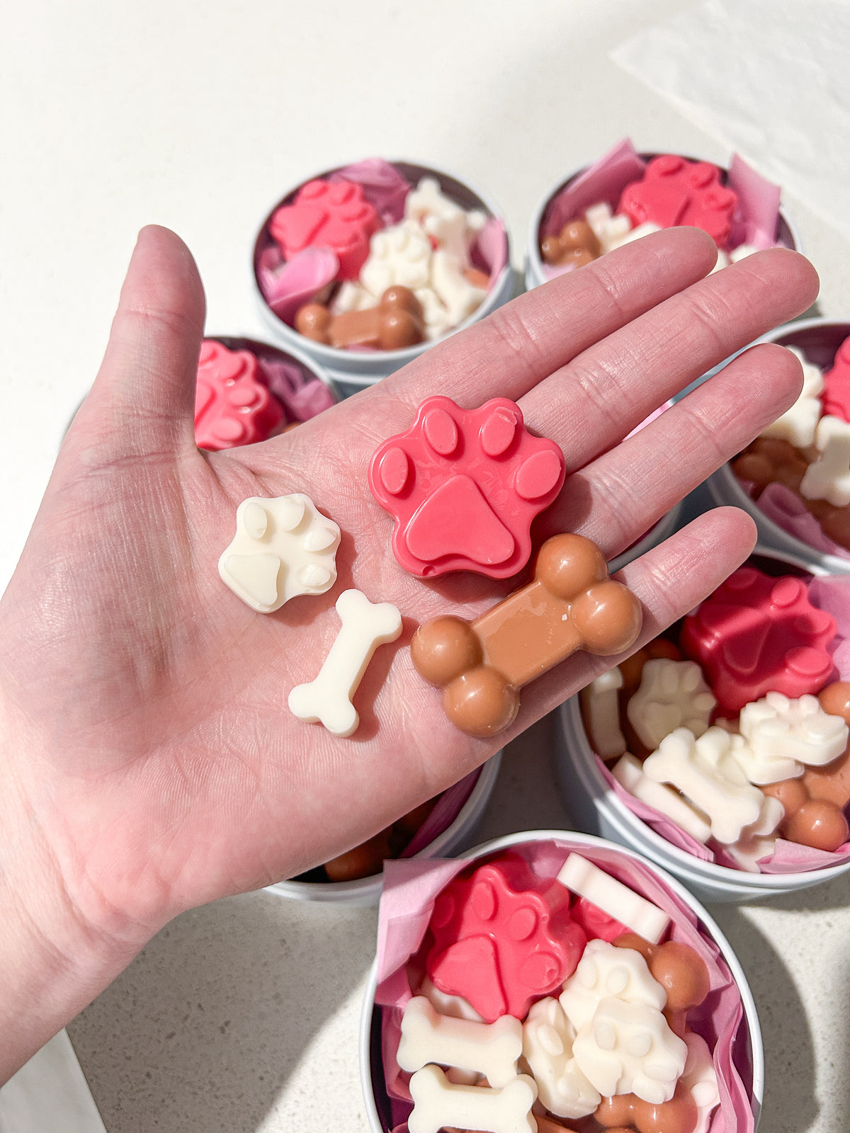 Neapolitan Soy Wax Melts