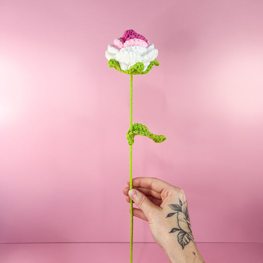 Crotchet White & Pink Rose