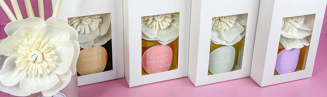 Your Spring Refresh Starts Here!
